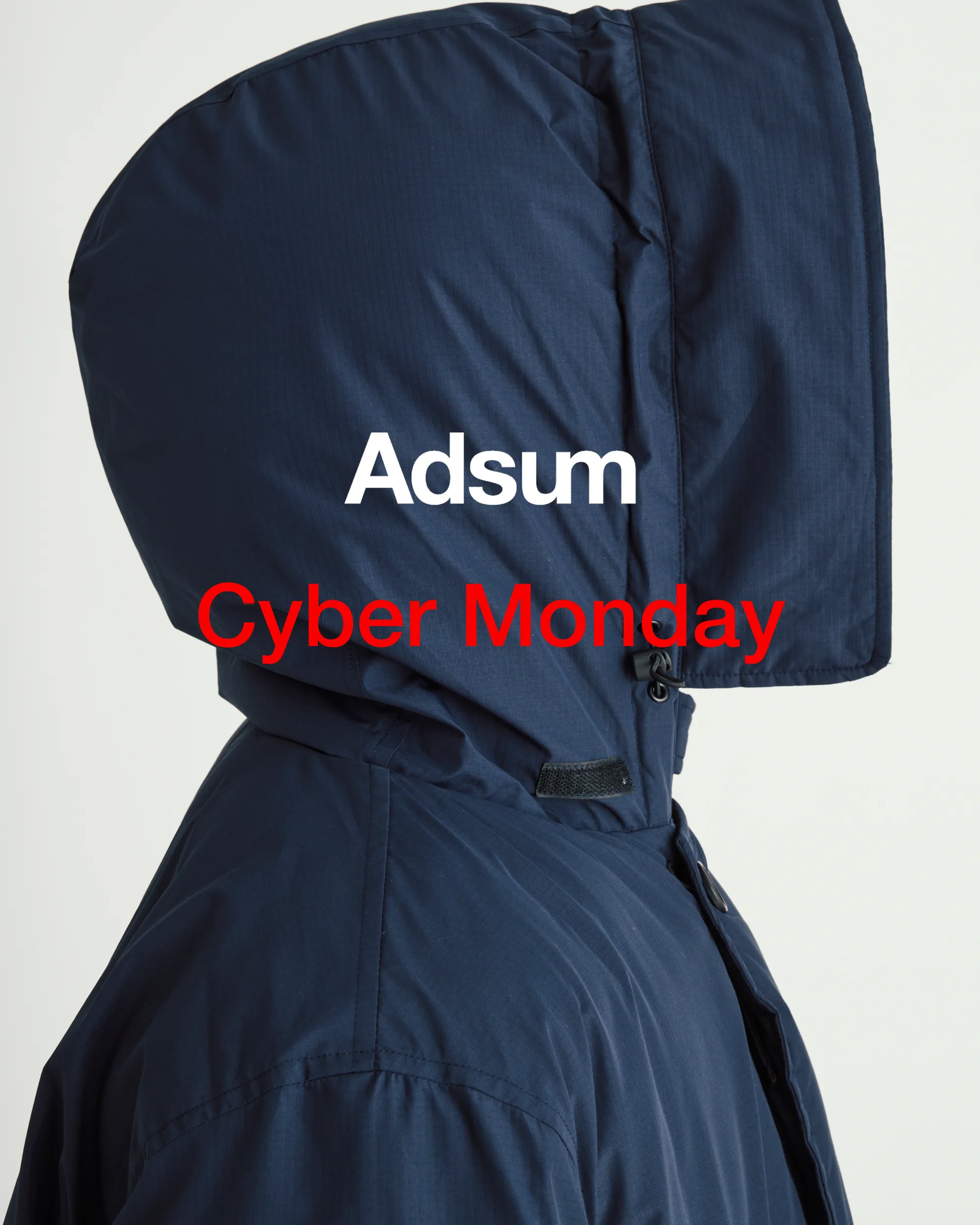 Cyber Monday Graphic 1