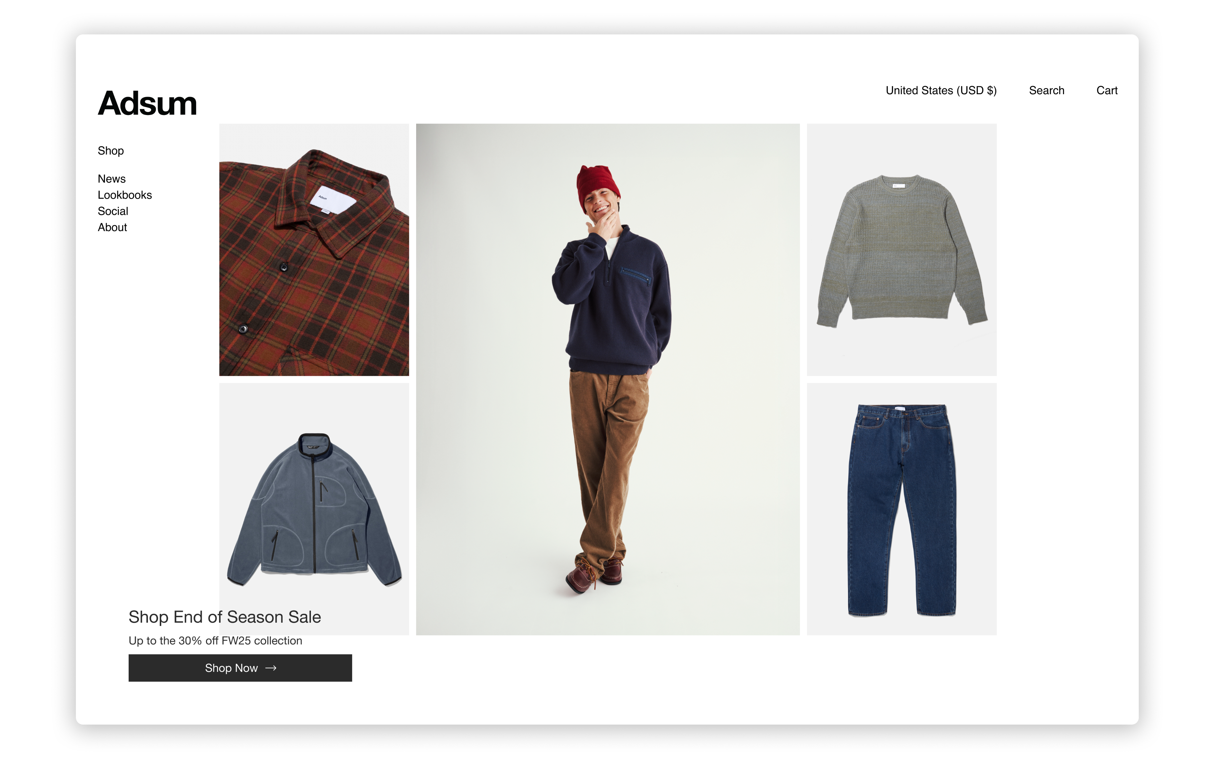 Adsum Landing Page Display 4