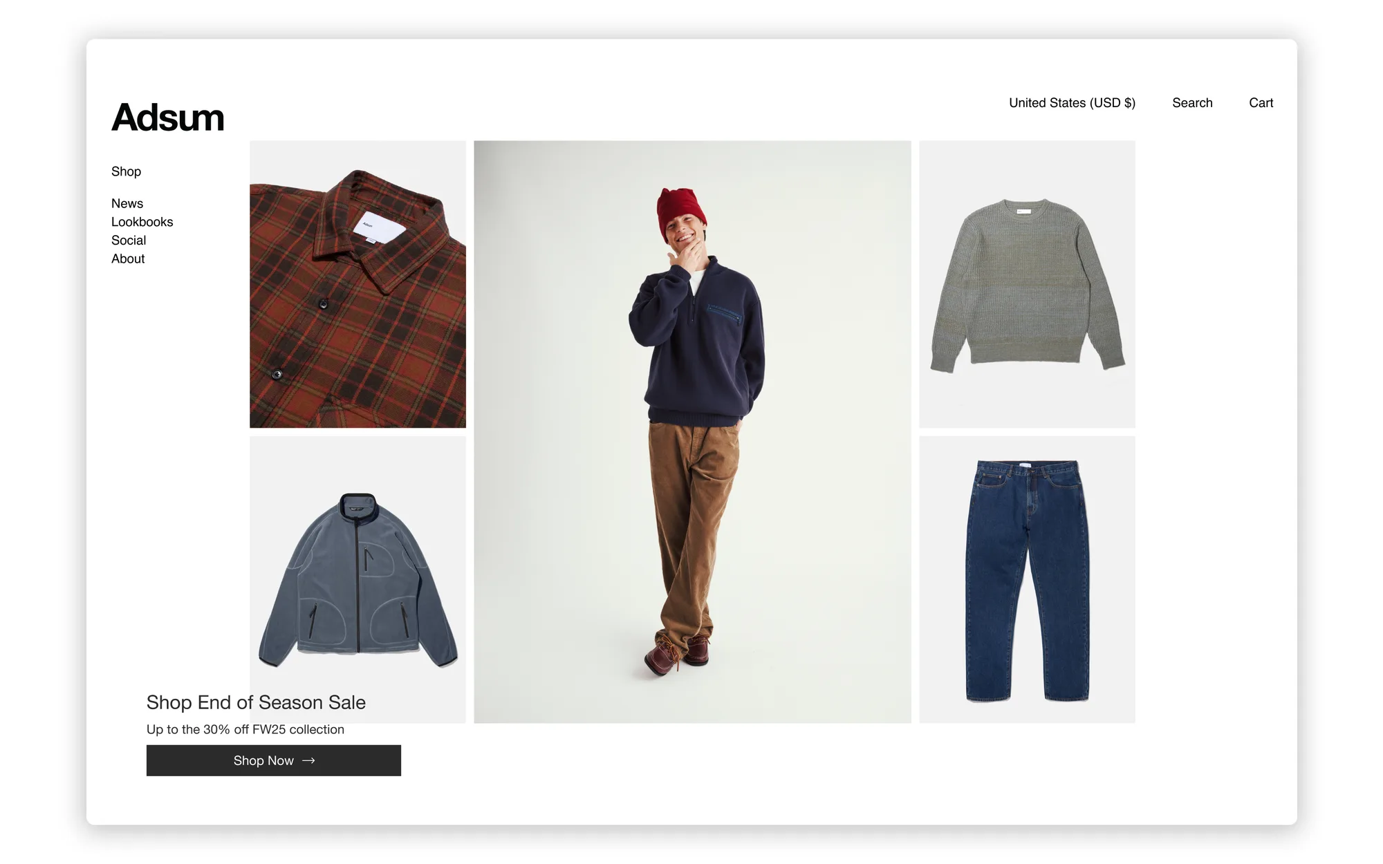 Adsum Landing Page Display 4