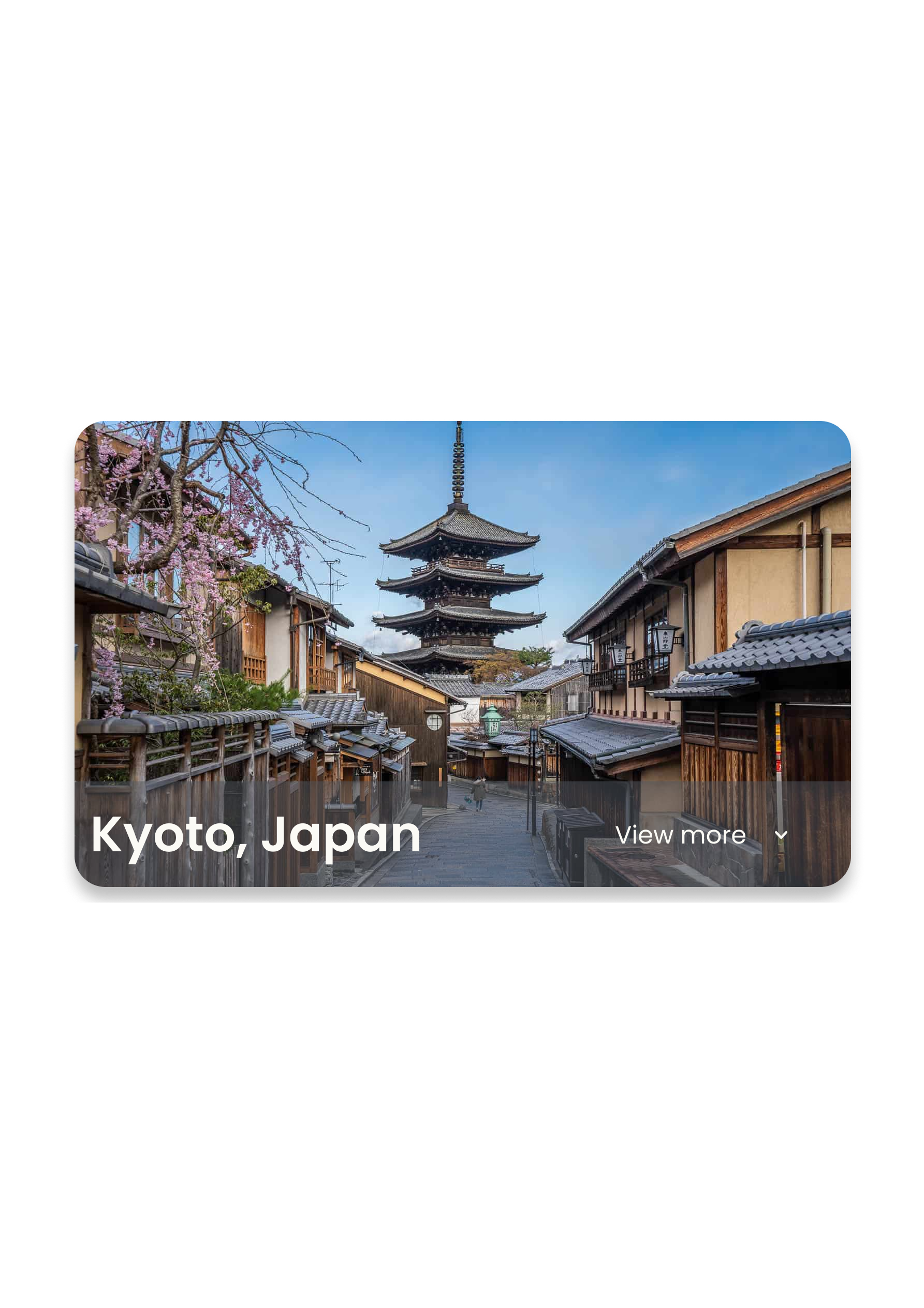 Travel Card Widget mockup